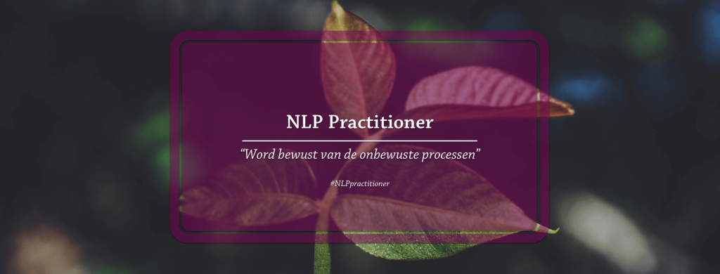 De eerste verdieping NLP opleiding voor persoonlijke groei en talenton­wikkeling