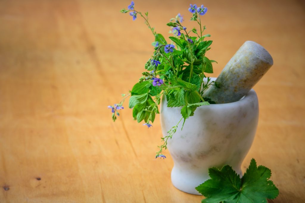 Stap-voor-stap bereiding van verse pesto met basilicum en olijfolie