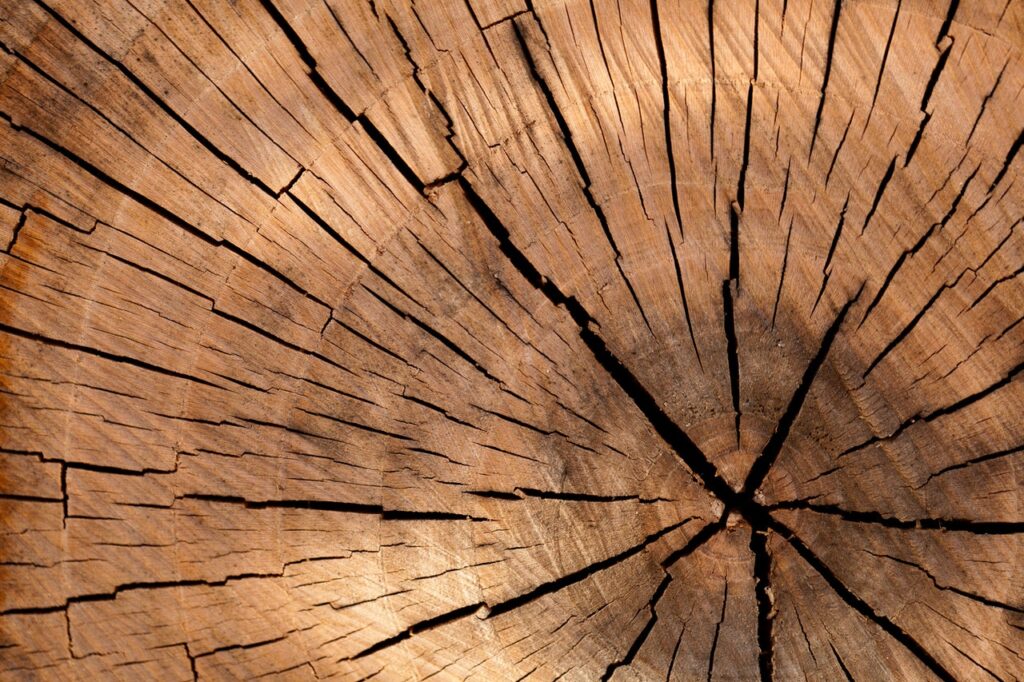 Steigerhout meubels in een tuin met robuuste uitstraling en natuurlijke kleuren voor buitenzitten