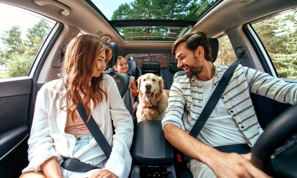 Voor- en nadelen van een auto visualisatie met rijbewijs en auto in context van kosten en milieu