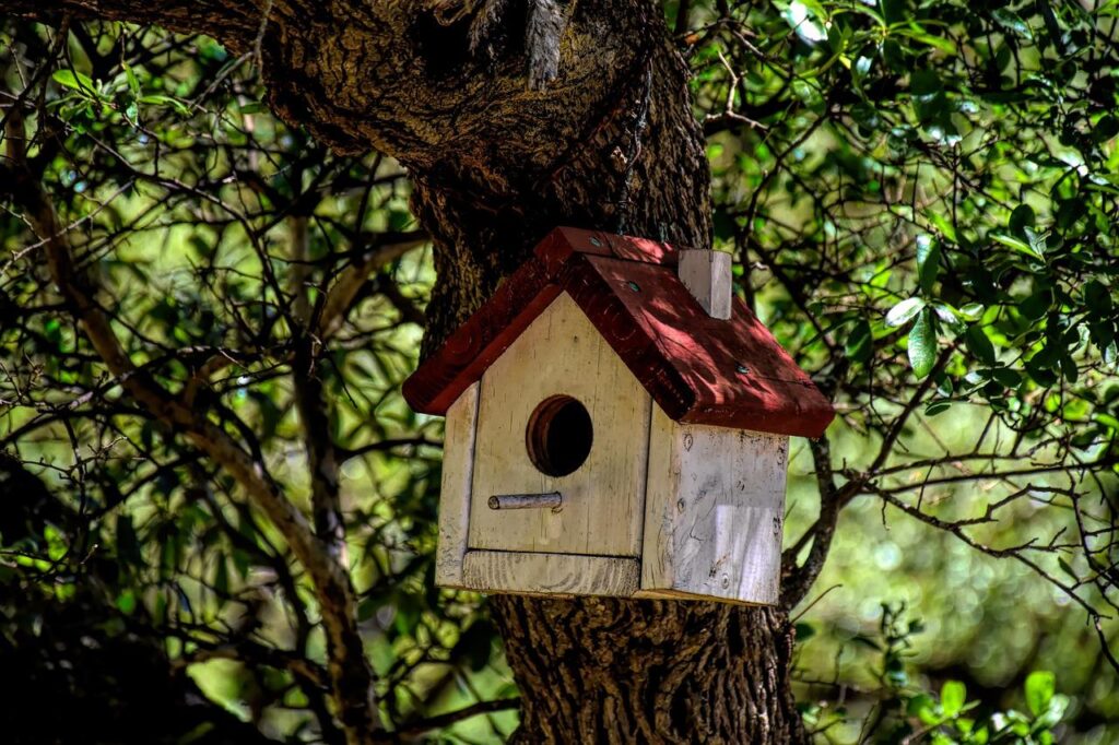 Tuinvogels aantrekken met vogelhuisjes, voederhuisjes en vogelbaden in een groene tuin