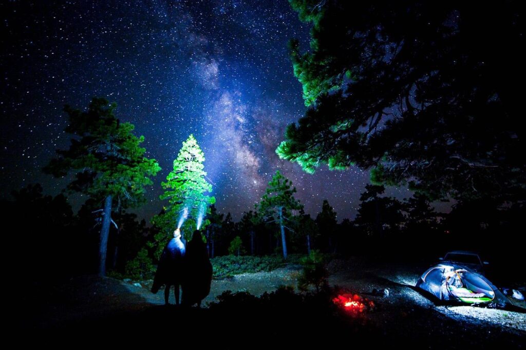 Diverse zaklampen voor vakantie, kamperen en thuisgebruik met praktische functies