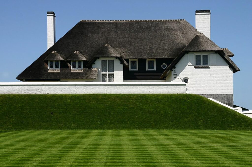 Groendak met weelderige vegetatie en sedum planten op een duurzaam dak in een stedelijke omgeving