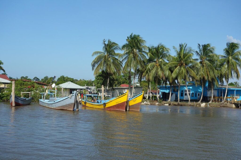 Tropisch landschap Suriname met jungle en palmen, bestemming voor vliegreis van 9 uur vanuit Amsterdam